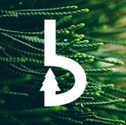 Boscus digital marketing