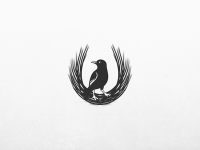 Bowerbird photography