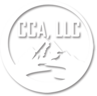 Brian p. little & associates