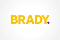 Brady cases