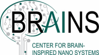 Brain centers nw