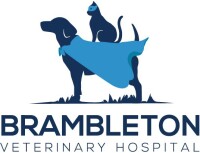 Brambleton veterinary hospital