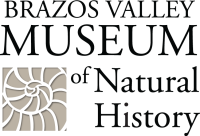 Brazos valley museum of natural history