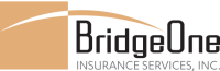 Bridgeone insurance services, inc.