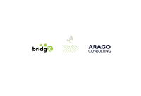 Bridgx