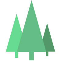 Bright forest media