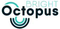Bright octopus marketing