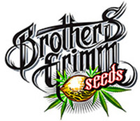 Brothers grimm seeds