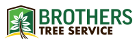 Brothers tree services
