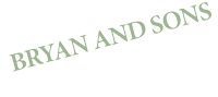 Bryan & sons, llc
