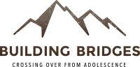 Building bridges, llc