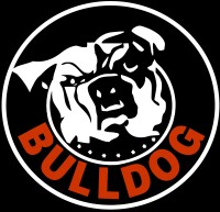 Bulldog alarm co