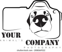 Bulldog photography
