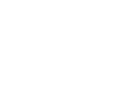 Bull moose club
