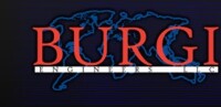 Burgi systems