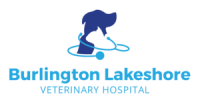 Burlington animal hospital