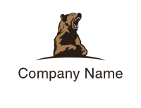 Burma bear