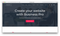 Business pro