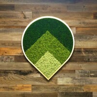 Shop living walls
