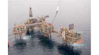 Buzzard oil & gas, llc
