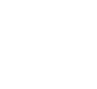 Bydzyne inc