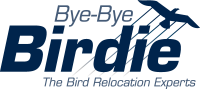 Aka pest control inc. / bye bye birdie