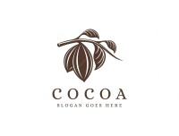 Cacao media