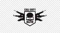 Call of duty consulting