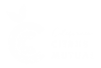 California citrus quality