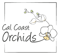 Cal coast orchids