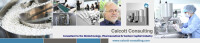 Calcott consulting l.l.c.
