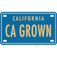 Buy california marketing agreement