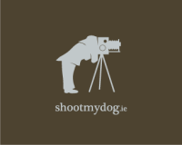 Camera works photography