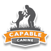 Capable canines of wisconsin