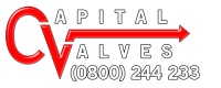 Capital valves ltd