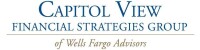 Capital view management, llc