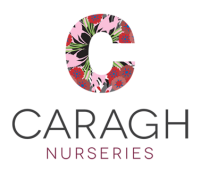 Cara nurseries