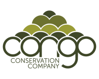 Care for the congo