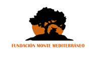 Fundación Monte Mediterraneo