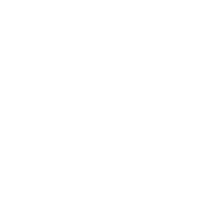Castle thunder consulting