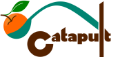 Catapult commercialization services
