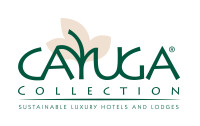 Cayuga area plan