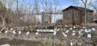 Cayuga landscape co inc