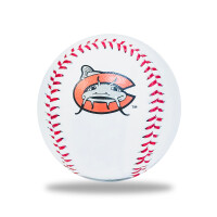 Carolinas baseball center