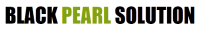 Caspian black pearl energy solutions group