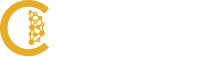 Center for brain-inspired computing