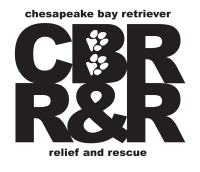Chesapeake bay retriever relief and rescue inc