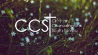 Christian counseling of south tampa