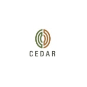 Cedar consulting llc