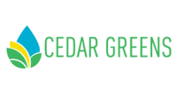 Cedar greens